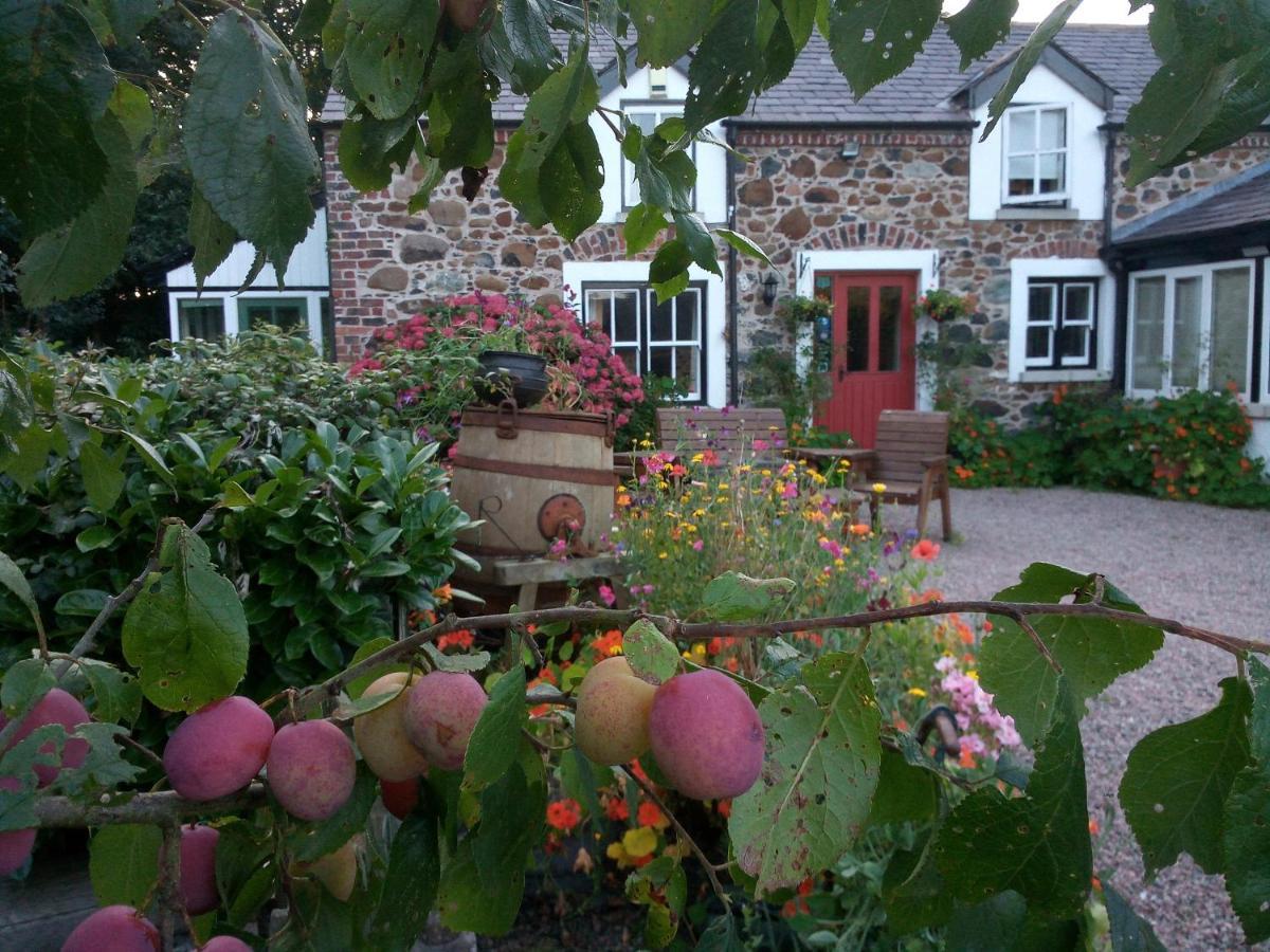 Berwick Hall Cottage Moira  Extérieur photo
